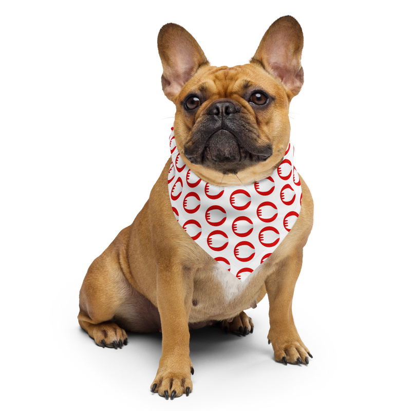 The Sporkful: Pet Bandana