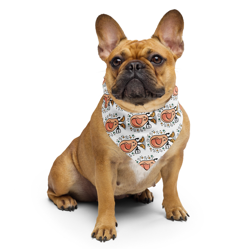 Sound Detectives: Pet Bandana