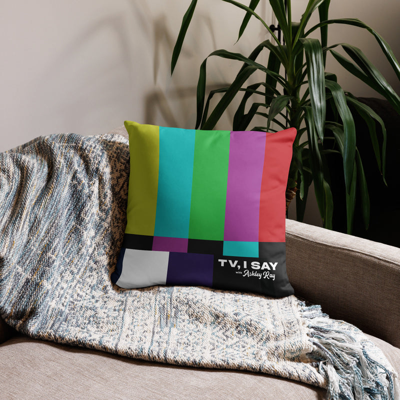 TV, I Say: Color Bars Pillow