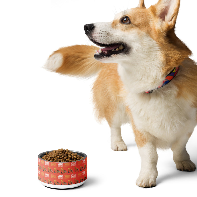 Sound Detectives: Pet Bowl