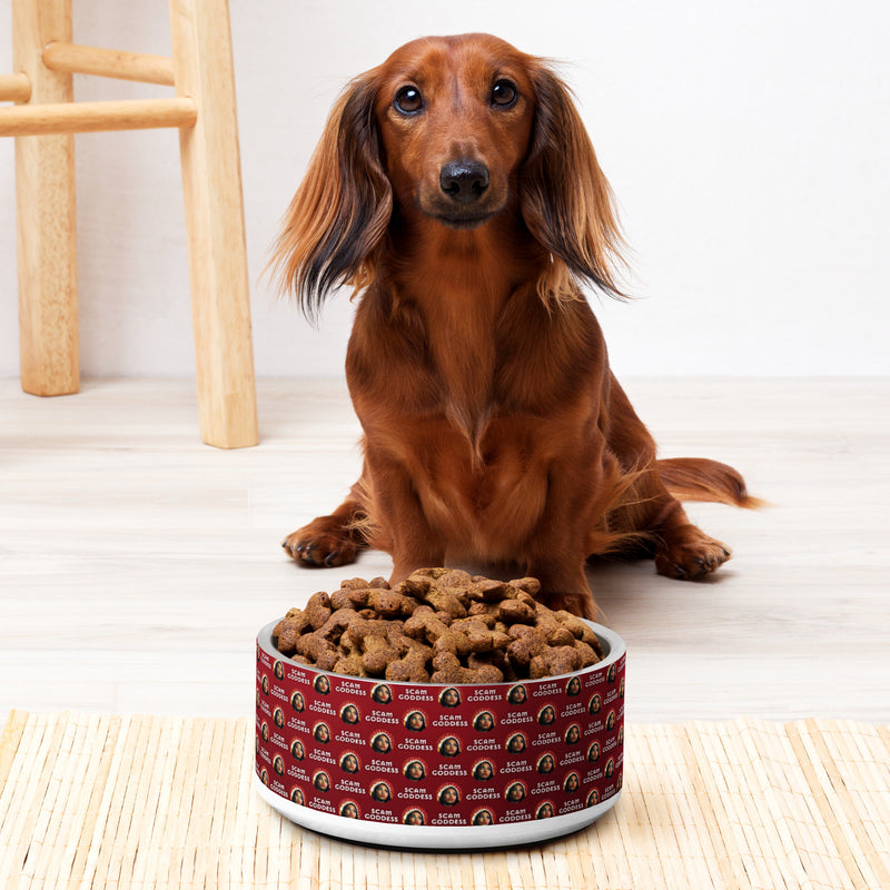 Scam Goddess: Pet Bowl