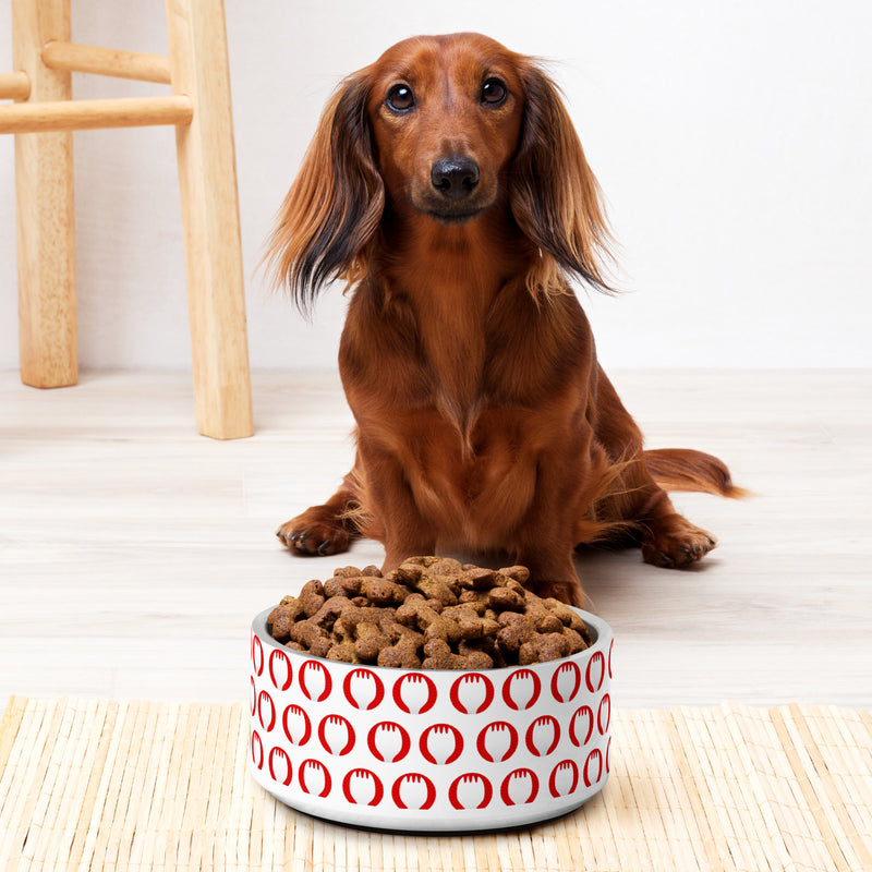 The Sporkful: Pet Bowl