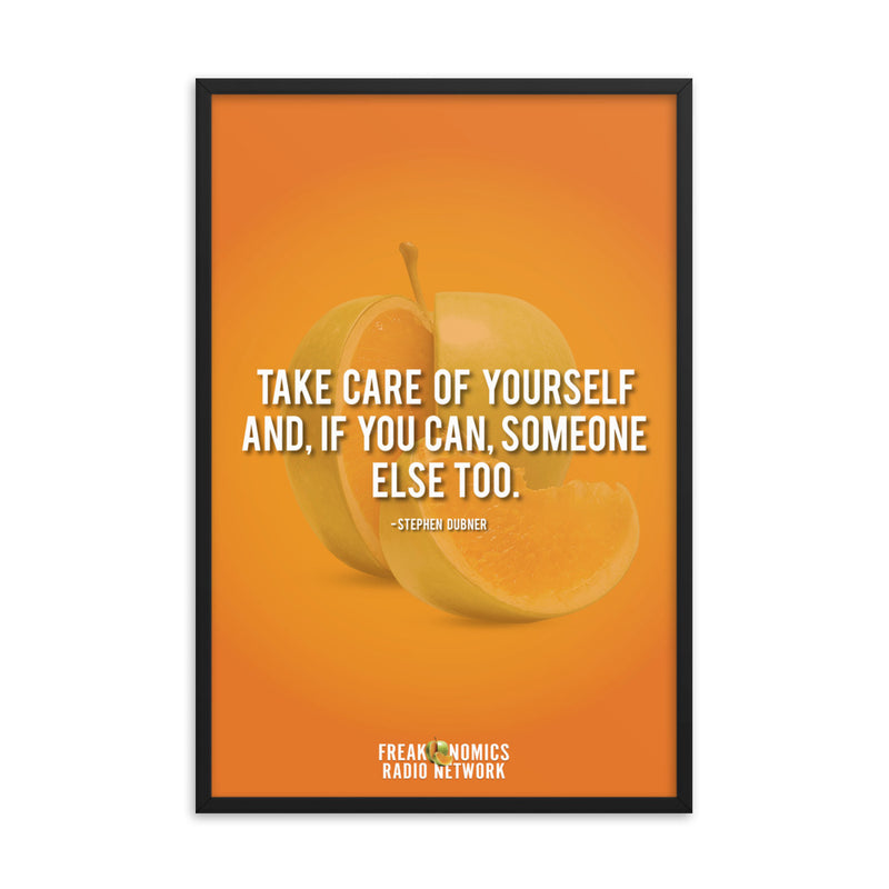 Freakonomics: Framed Poster (Large)