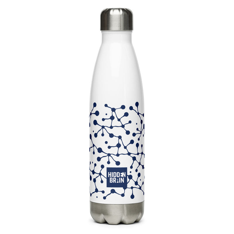 Hidden Brain: Stainless Bottle